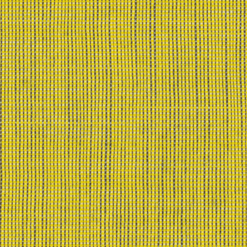 De Ploeg - Be CS ↕ 310 cm-44654