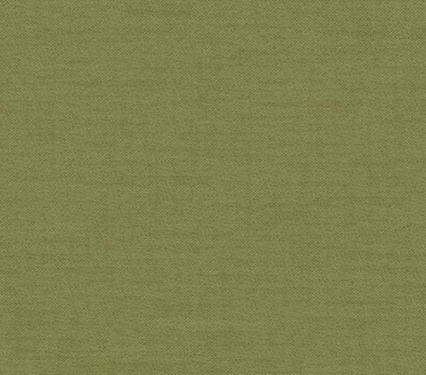 Ado E6811-884 ↨ 290 cm groen | Effabrics.nl