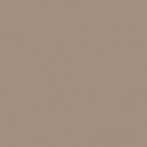 Ado E6874 009 ↨ 300cm-bruin | Effabrics.nl