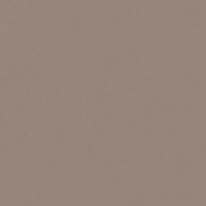 Ado E6874 010 ↨ 300cm-bruin | Effabrics.nl