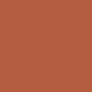 Ado E6874 024 ↨ 300cm Oranje | Effabrics.nl