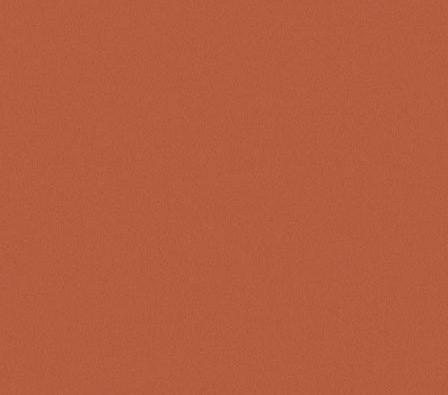 Ado E6874 024 ↨ 300cm Oranje | Effabrics.nl