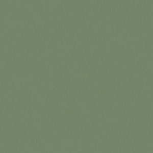 Ado E6874 025 ↨ 300cm Groen | Effabrics.nl