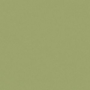 Ado E6874 027↨ 300cm Groen | Effabrics.nl