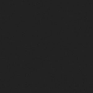 Ado E6874 035↨ 300cm Zwart | Effabrics.nl