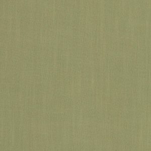 Hudson FR E1076-27 Sage, vlamvertragende gordijnstof. | Effabrics.nl