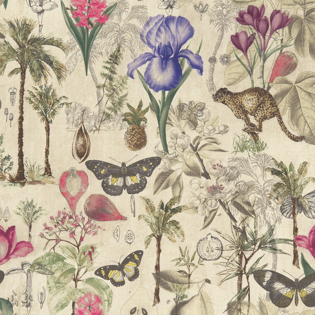 Botany Botany