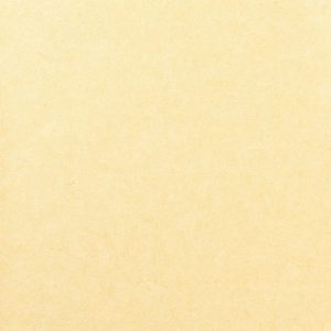 Pleso 1026-01 oranje. Vinyl wandbekleding, met een ingetogen tweekleurig travertinachtig dessin. | Effabrics.nl