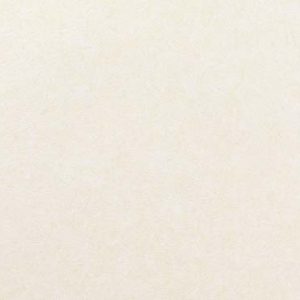Pleso 1026-12 creme. Vinyl wandbekleding, met een ingetogen tweekleurig travertinachtig dessin. | Effabrics.nl