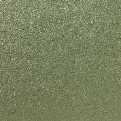 Silica FR E6039-10 groen, stevig kunstleer met een leernerf.| Effabrics.nl