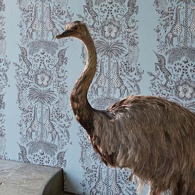 Behang_Animalia_sfeer_01-350